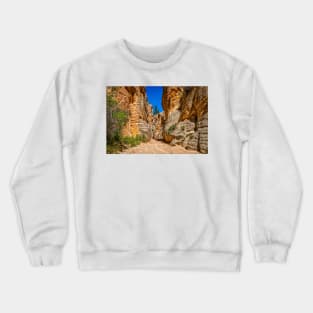 Lick Wash Trail Hike Crewneck Sweatshirt